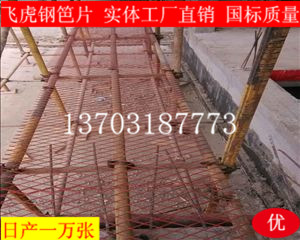 建筑鋼笆片有絕對優(yōu)勢代替?zhèn)鹘y的竹笆片-03